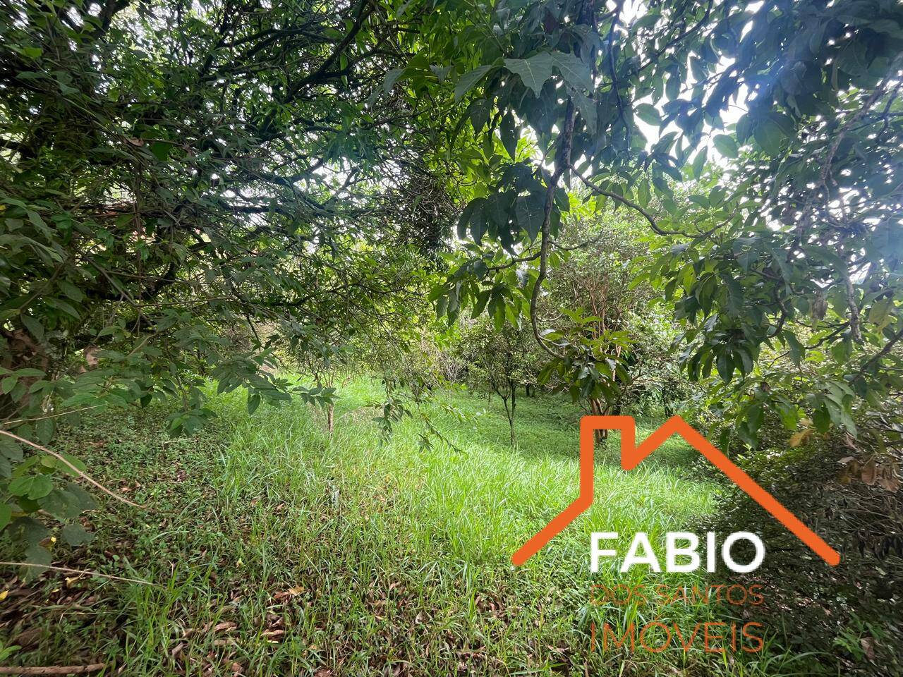 Terreno à venda, 1360m² - Foto 5